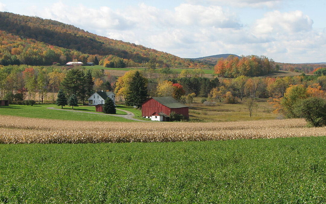 ROST: Raising Our Spirits Together